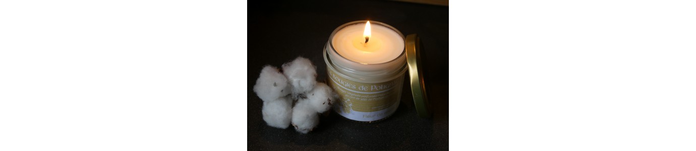 Nos petits formats de bougies