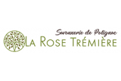 Marché du Puy-en-Velay/ LA ROSE TREMIERE